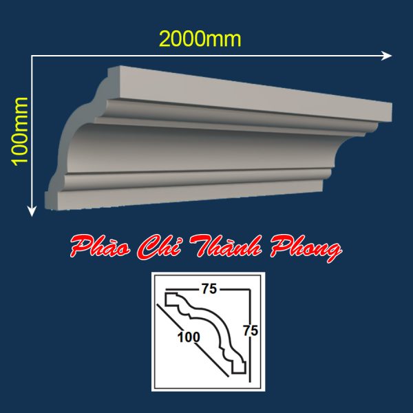 99+ Mẫu Phào Chỉ Xi Măng Đẹp Hot Nhất 2026 – Giải Pháp Hoàn Thiện Không Gian Đẹp Bền 2 Phào chỉ xi măng Thành Phong